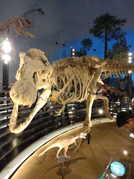 福井県立恐竜博物館に投稿された画像（2025/9/15）