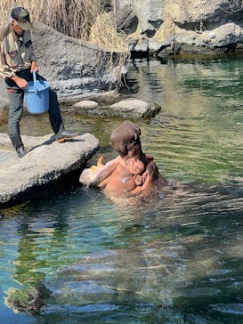 天王寺動物園に投稿された画像（2025/9/15）