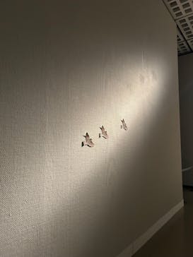 スウェーデン国立美術館　素描コレクション展―ルネサンスからバロックまでに投稿された画像（2025/9/15）