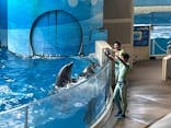 新江ノ島水族館に投稿された画像（2025/9/16）