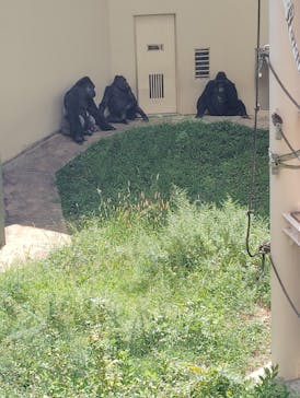 名古屋市東山動植物園に投稿された画像（2025/9/15）