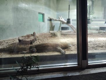 名古屋市東山動植物園に投稿された画像（2025/9/15）