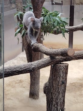 名古屋市東山動植物園に投稿された画像（2025/9/15）