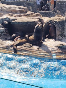 名古屋市東山動植物園に投稿された画像（2025/9/15）