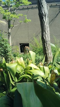 名古屋市東山動植物園に投稿された画像（2025/9/15）