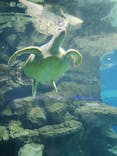 名古屋港水族館に投稿された画像（2025/9/16）
