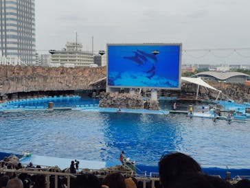 名古屋港水族館に投稿された画像（2025/9/15）
