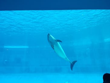 名古屋港水族館に投稿された画像（2025/9/15）