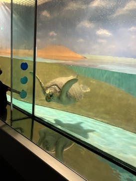 マリンワールド海の中道に投稿された画像（2025/9/16）