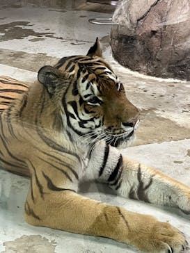 天王寺動物園に投稿された画像（2025/9/16）