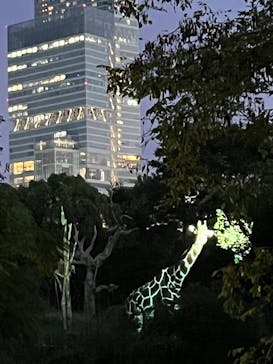 天王寺動物園に投稿された画像（2025/9/16）