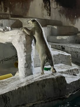 天王寺動物園に投稿された画像（2025/9/16）