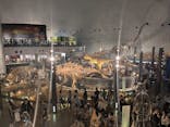 福井県立恐竜博物館に投稿された画像（2025/9/16）