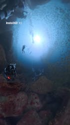 ダイブショップ宝島に投稿された画像（2025/9/16）