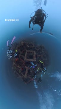 ダイブショップ宝島に投稿された画像（2025/9/16）