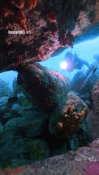 ダイブショップ宝島に投稿された画像（2025/9/16）