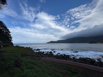 黄金崎ダイブセンターに投稿された画像（2025/9/15）