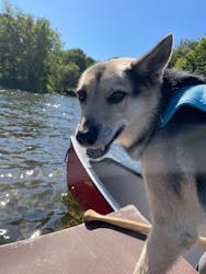 Matatabi（マタタビ）に投稿された画像（2025/9/16）