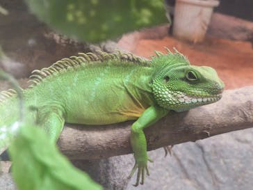 名古屋市東山動植物園に投稿された画像（2025/9/16）