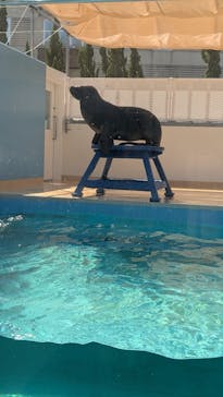 竹島水族館に投稿された画像（2025/9/16）