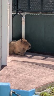 竹島水族館に投稿された画像（2025/9/16）