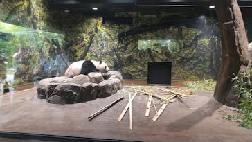 恩賜上野動物園に投稿された画像（2025/9/16）