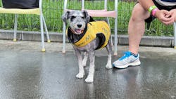 わんダフルネイチャーヴィレッジに投稿された画像（2025/9/16）