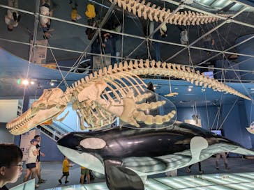 名古屋港水族館に投稿された画像（2025/9/16）