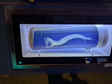 名古屋港水族館に投稿された画像（2025/9/16）