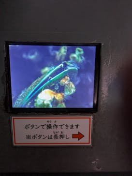 名古屋港水族館に投稿された画像（2025/9/16）