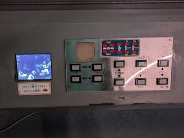 名古屋港水族館に投稿された画像（2025/9/16）