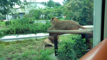 東京動物園協会_多摩動物公園に投稿された画像（2025/9/16）