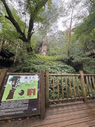 屋久島ガイド21EC-Kに投稿された画像（2025/9/16）