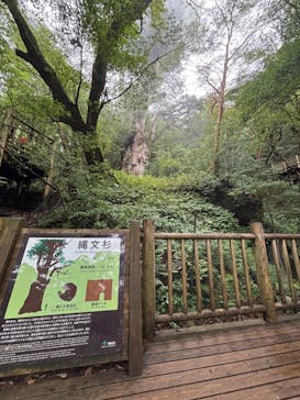 屋久島ガイド21EC-Kに投稿された画像（2025/9/16）