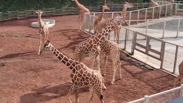 多摩動物公園に投稿された画像（2025/9/16）