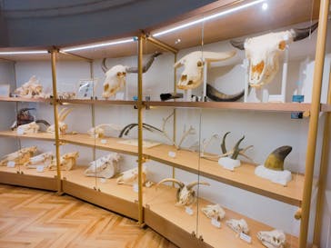 千葉市動物公園に投稿された画像（2025/9/16）