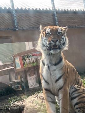 那須どうぶつ王国に投稿された画像（2025/9/16）