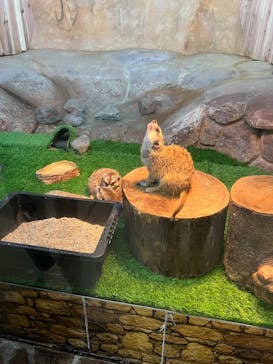 那須どうぶつ王国に投稿された画像（2025/9/16）