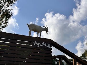 那須どうぶつ王国に投稿された画像（2025/9/16）