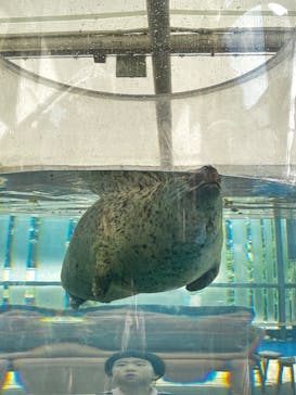 京都水族館に投稿された画像（2025/9/16）