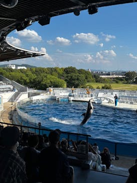 京都水族館に投稿された画像（2025/9/16）