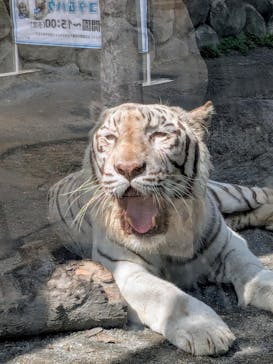 東武動物公園に投稿された画像（2025/9/16）