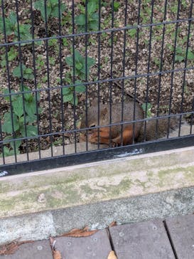 東武動物公園に投稿された画像（2025/9/16）