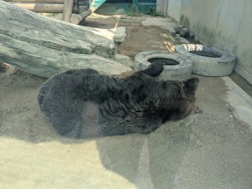 東武動物公園に投稿された画像（2025/9/16）