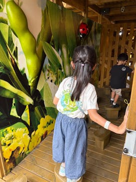 鈴鹿サーキットに投稿された画像（2025/9/16）