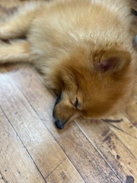 Countless River（カウントレスリバー）に投稿された画像（2025/9/16）