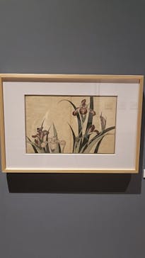 HOKUSAI－ぜんぶ、北斎のしわざでした。展に投稿された画像（2025/9/16）