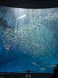 名古屋港水族館に投稿された画像（2025/9/16）