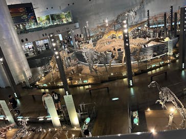 福井県立恐竜博物館に投稿された画像（2025/9/16）