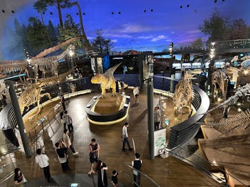 福井県立恐竜博物館に投稿された画像（2025/9/16）